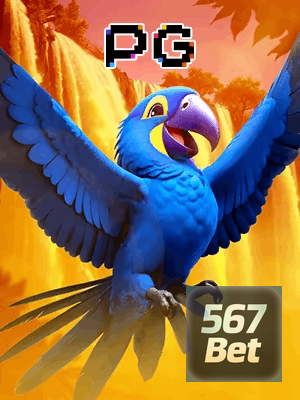 567BET bônus — cashback 15 por cento e níveis VIP