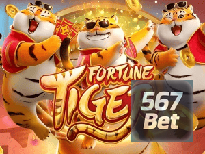 Guia install APK 567BET BR