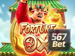 567BET login — painel de entrada no app oficial